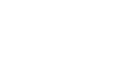 Rare Attractor
