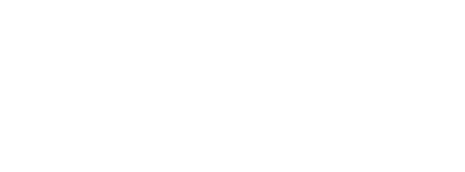 Rare Attractor